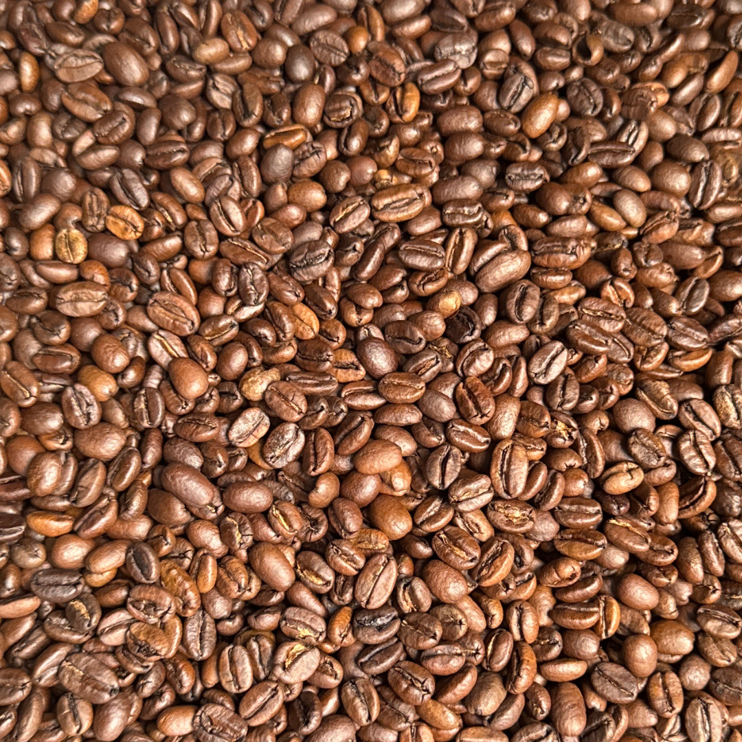 Ethiopian Sidama Natural – Whole Bean, Medium-Light Roast (1 lb)
